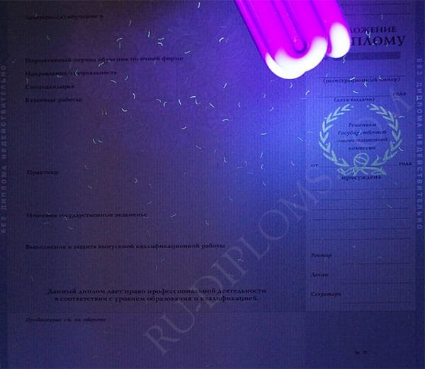 Диплом магистра 2010-2013 год Диплом магистра 2010-2013 год